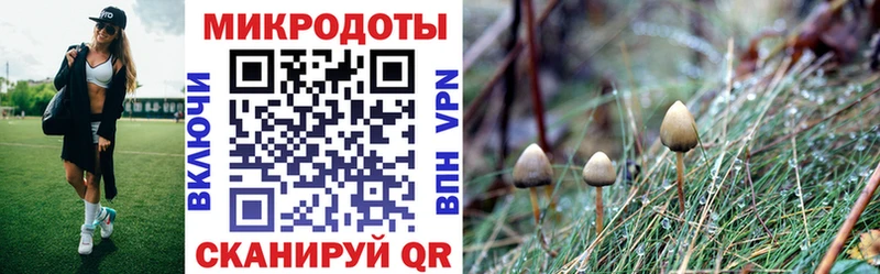наркошоп  мега ТОР  Галлюциногенные грибы Cubensis  Северобайкальск 