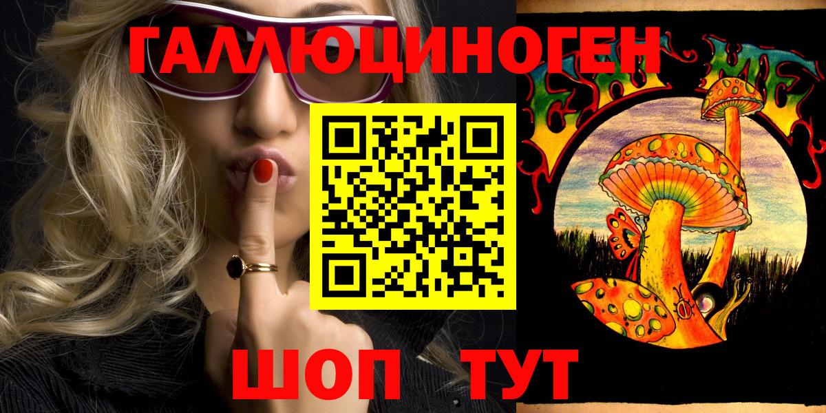 Псилоцибиновые грибы MAGIC MUSHROOMS  где найти наркотики  Северобайкальск  Псилоцибиновые грибы Magic Shrooms 