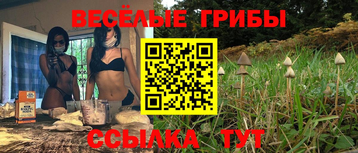 Галлюциногенные грибы Psilocybe  Вход с VPN  Северобайкальск 