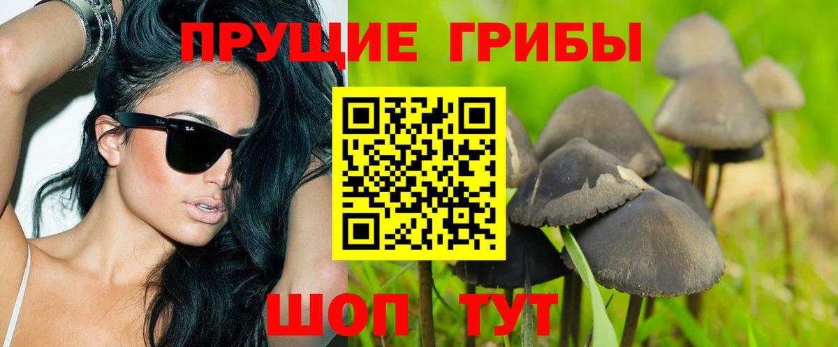 Галлюциногенные грибы Magic Shrooms Северобайкальск